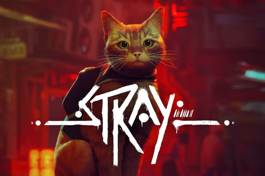 Stray Game Subscription